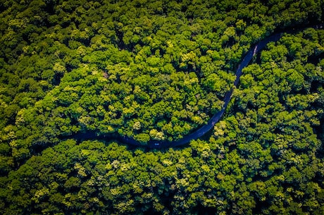 探寻雨林木风主题下的自然美景
